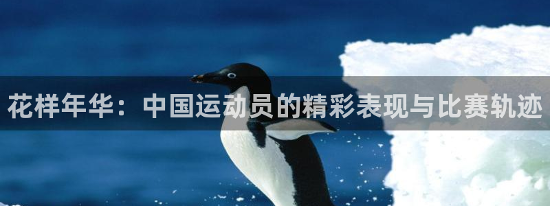 鲸鱼体育场：花样年华：中国运动员的精彩表现与比赛轨迹