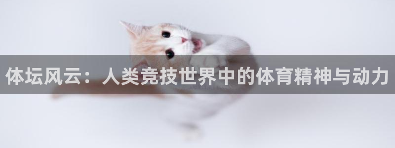 鲸鱼体育雨燕