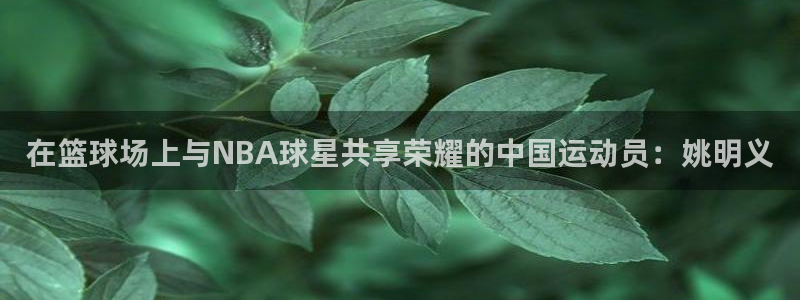 鲸鱼体育原声直播：在篮球场上与NBA球星共享荣耀的中国运动员：姚明义