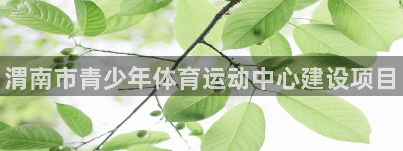 鲸鱼体育jyty：渭南市青少年体育运动中心建设项目