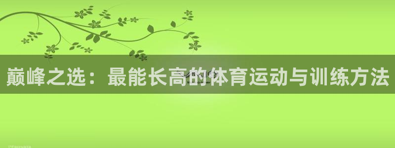 鲸鱼体育官方网站入口