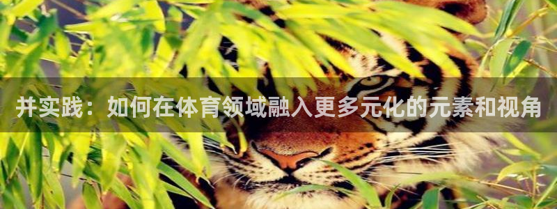 鲸鱼体育旧版