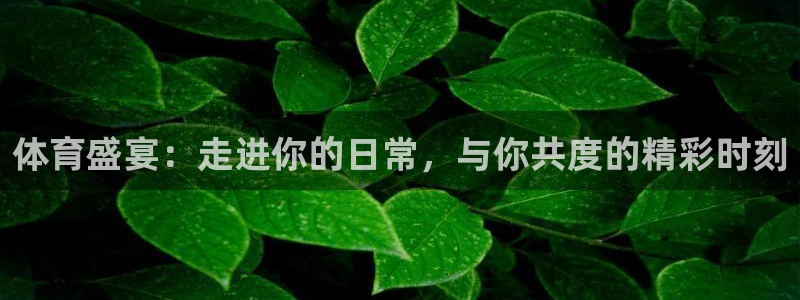 鲸鱼体育如何安装：体育盛宴：走进你的日常，与你共度的精彩时刻