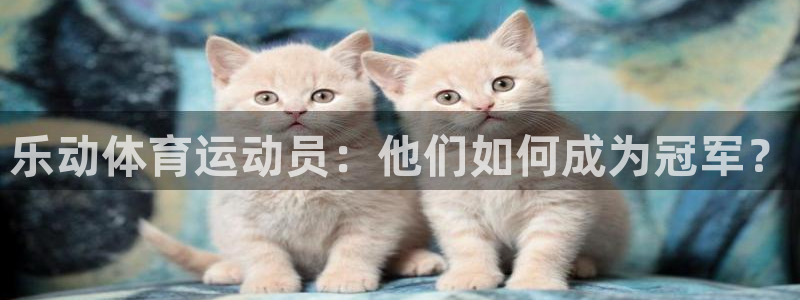 鲸鱼体育jyty：乐动体育运动员：他们如何成为冠军？