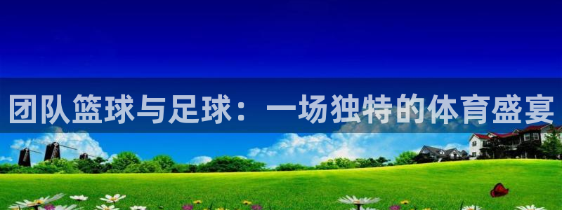 鲸鱼体育官方：团队篮球与足球：一场独特的体育盛宴